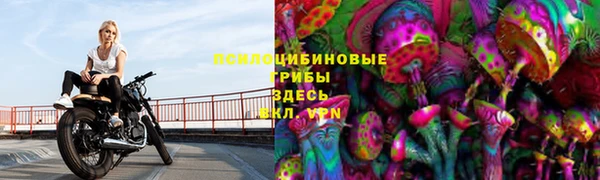 МДПВ Верхний Тагил