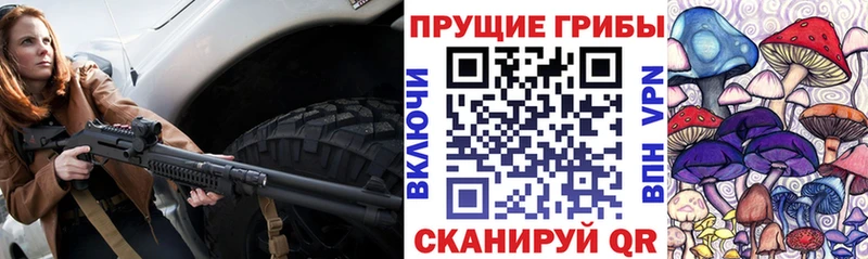 Галлюциногенные грибы GOLDEN TEACHER  Купить  Устюжна 